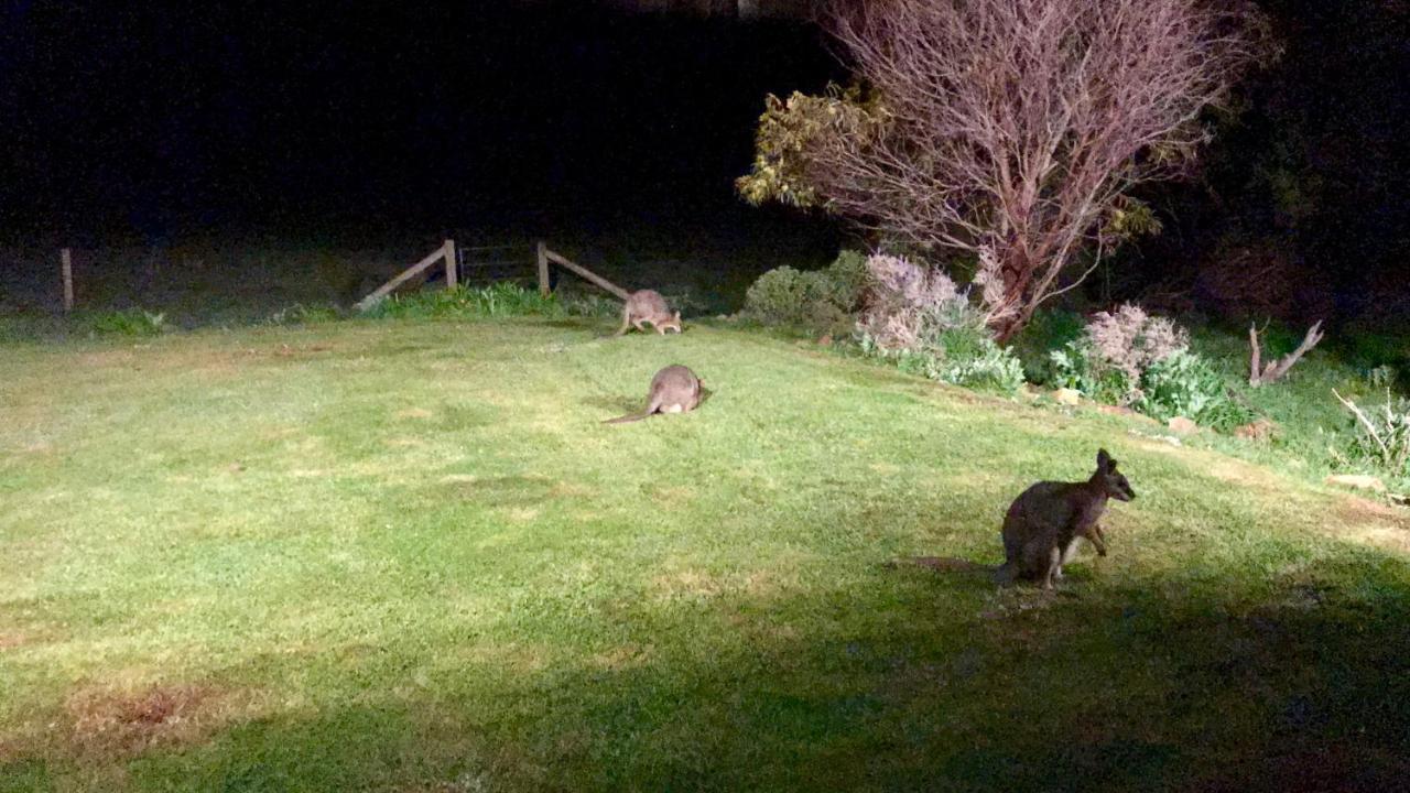 Bee'S Place - 3 Bedroom Home On 10 Acres Of Land With Distant Ocean Views Emu Bay Buitenkant foto